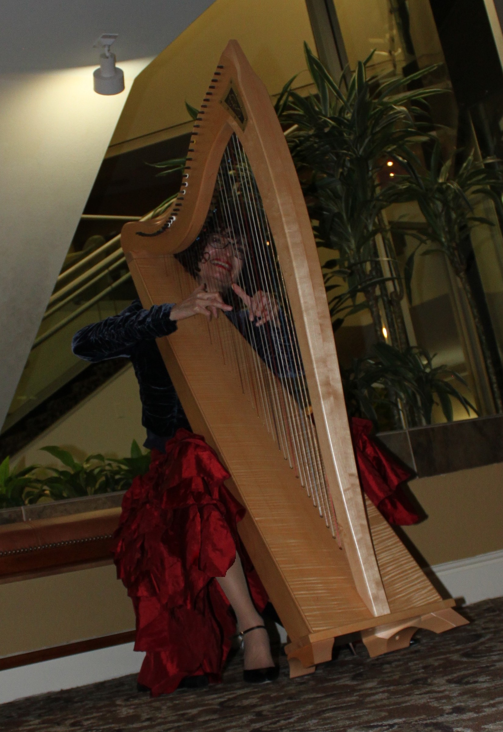 Vanessa Myers Tucson Harpist