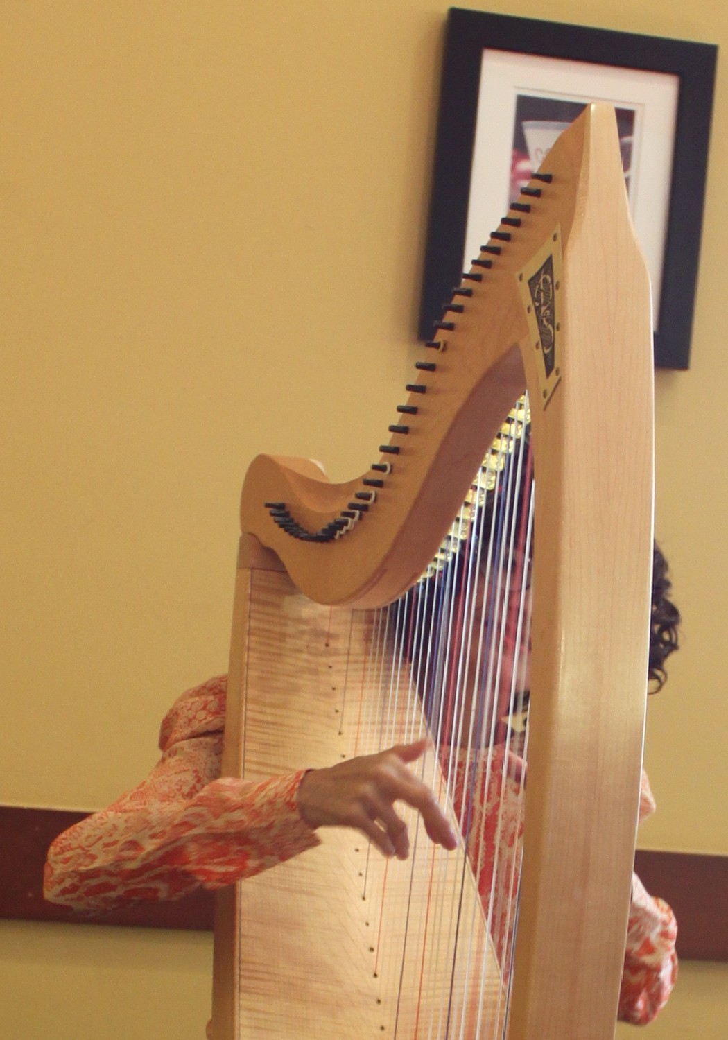 Vanessa Myers Tucson Harpist